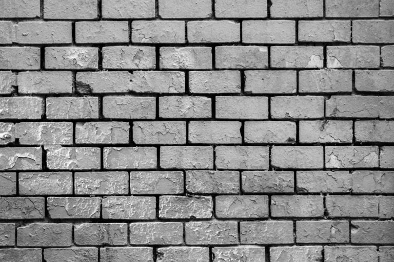 Mitglieder des No Hate Speech Komitees fordern Nationalen Aktionsplan gegen Rassismus
